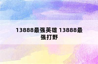 13888最强英雄 13888最强打野